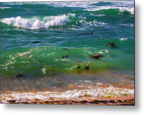 Honu Metal Print featuring the photograph Honu Playground by Anthony Jones