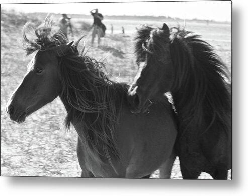 Animal Metal Print featuring the photograph Horse Style by Melissa Southern