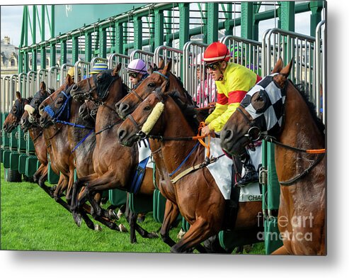 Horse Metal Print featuring the photograph Horse race, leaving the starting gates by Delphimages Photo Creations
