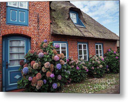 House Metal Print featuring the photograph Hortensia Beauty by Eva Lechner