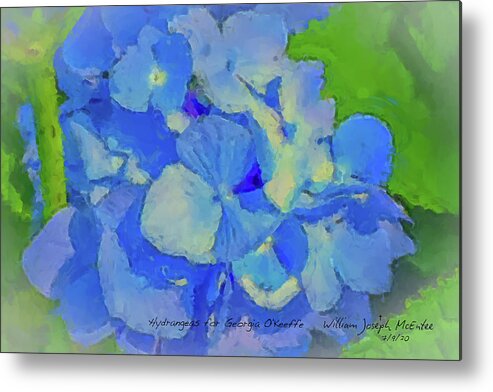 Hydrangeas Metal Print featuring the painting Hydrangeas for Georgia O'Keeffe by Bill McEntee