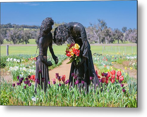 Tulips Metal Print featuring the photograph I'm so Sorry by Elaine Teague