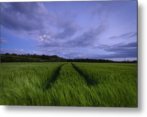 Farm Metal Print featuring the photograph In the Blue Hour by Spikey Mouse Photography