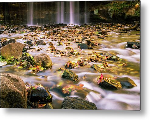 Fall Colors Metal Print featuring the photograph Interwoven by Flowstate Photography