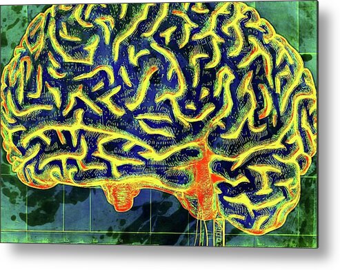 Brain Metal Print featuring the digital art Into The Mind by Ally White