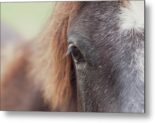 Horse Metal Print featuring the photograph Into the Soul by Holly Ross