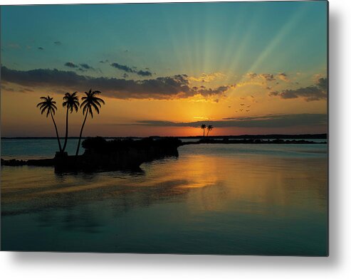 Composite Metal Print featuring the photograph Islands in the Stream by Randall Allen