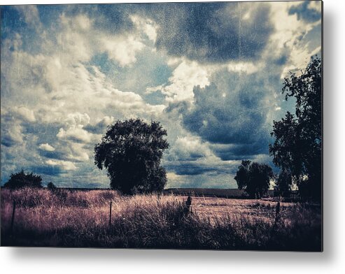 Land Metal Print featuring the photograph It's dark outside by Yasmina Baggili