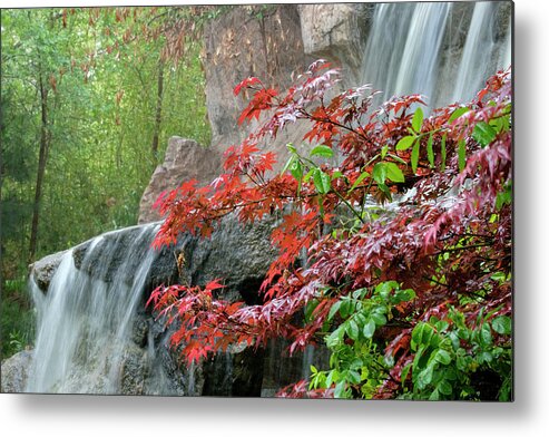 Japanese Metal Print featuring the photograph Japanese Garden Waterfall Albuquerque by Mary Lee Dereske