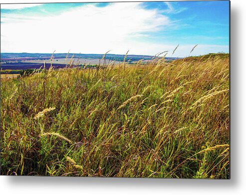 Wheat Metal Print featuring the photograph Kansas Wheat Field by Jim Mathis