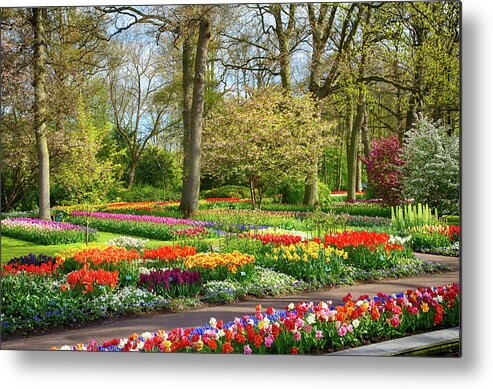 Europe Metal Print featuring the photograph Keukenhof Gardens IV by Jim Miller