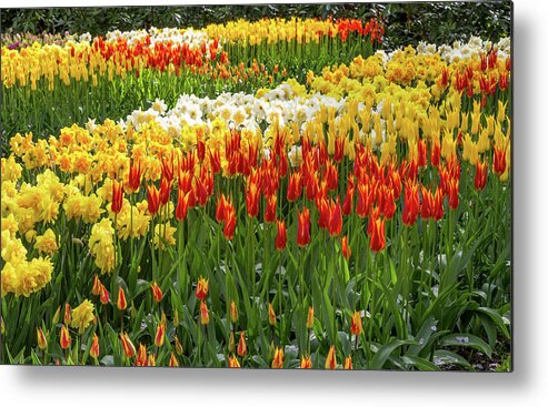 Europe Metal Print featuring the photograph Keukenhof Gardens V by Jim Miller