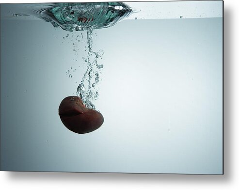 Underwater Metal Print featuring the photograph Kidney by Jonathan Knowles