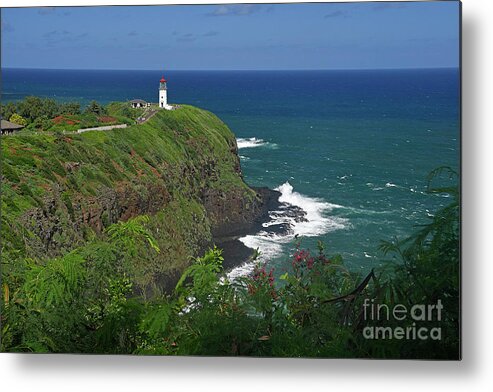 Kilauea Point Metal Print featuring the photograph Kilauea Point by Cindy Murphy