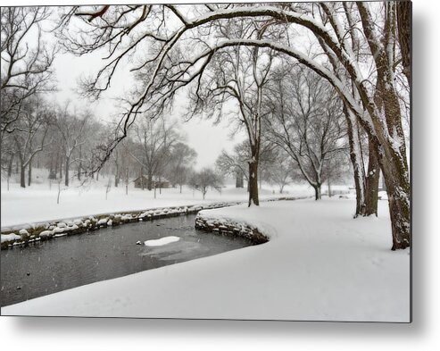Wi Metal Print featuring the photograph Lake Leota Park Winterscape series - View from first disc golf teepad - Evansville WI by Peter Herman