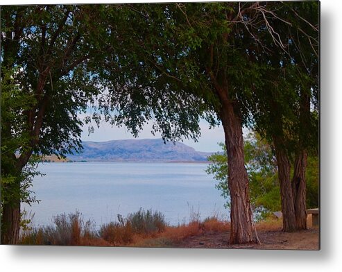 Lake Metal Print featuring the photograph Lake View by Yvonne M Smith