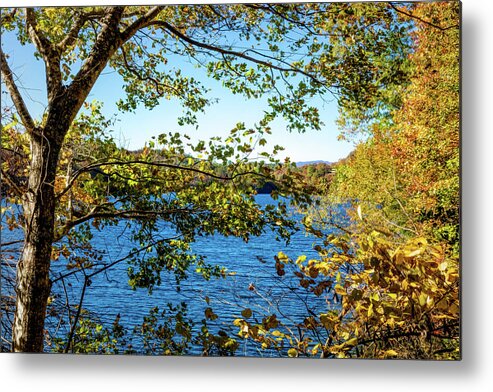Carolina Metal Print featuring the photograph Lakeview by Debra and Dave Vanderlaan