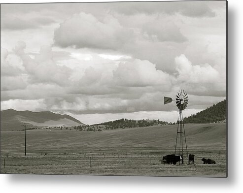 Black And White Metal Print featuring the photograph Landscape 1 by Carol Jorgensen