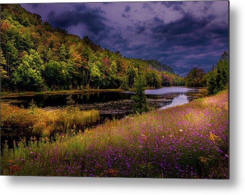 Last Light Metal Print featuring the photograph Last Light by David Patterson