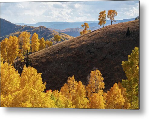 Fall Metal Print featuring the photograph Last Watch by Dustin LeFevre