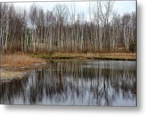 Fall Metal Print featuring the photograph Late Fall Reflection at Canadian Lakes by David T Wilkinson