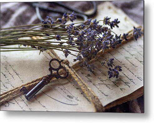 Lavender Metal Print featuring the photograph Lavender by Cindi Ressler