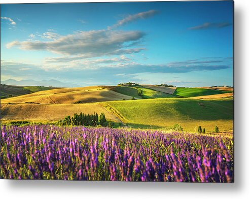 Lavender Metal Print featuring the photograph Lavender in Tuscany by Stefano Orazzini