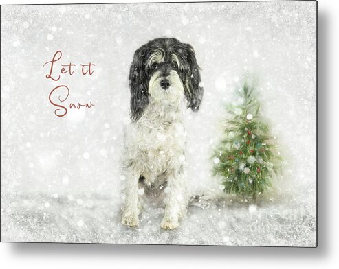 Let It Snow Metal Print featuring the photograph Let it Snow by Amy Dundon