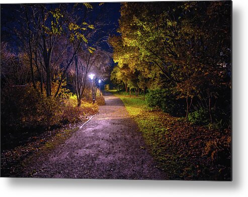 Light On Pathwaylight Metal Print featuring the photograph Light on Pathway #k4 by Leif Sohlman