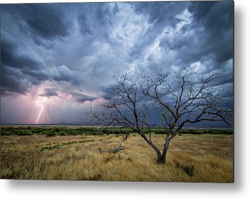 Storm Metal Print featuring the photograph Lightning Strike with Tree by Wesley Aston
