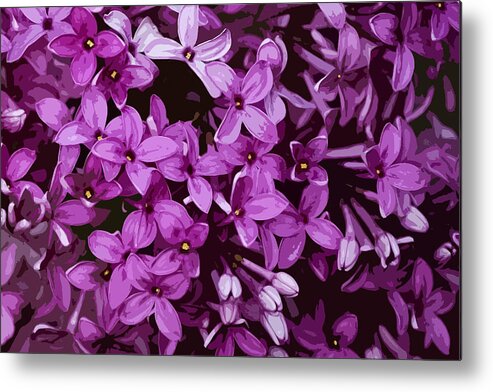 Nature Metal Print featuring the mixed media Lilacs by Judy Cuddehe