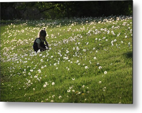 Girl Metal Print featuring the photograph Little Girl in Dandelion Field by Louise Tanguay