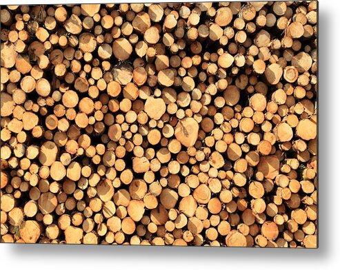Large Group Of Objects Metal Print featuring the photograph Logs full frame XXXL by Pejft