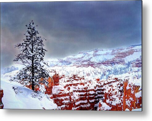 Bryce National Park Metal Print featuring the photograph Lone Pine in a Painted Sky - Bryce National Park by Wayne King