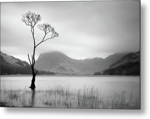 Cumbria Metal Print featuring the photograph Lone Tree, Buttermere, Lake District, England, UK by Sarah Howard