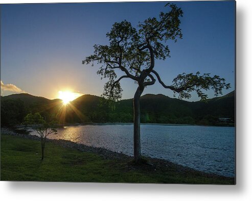 Caribbean Metal Print featuring the photograph Lonesome Tree at Sunrise by Matthew DeGrushe