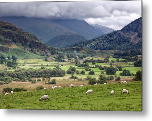 Grass Metal Print featuring the photograph Looking towards Helvellyn by Alexis Birkill