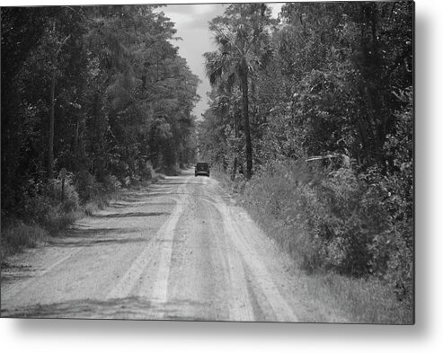 Florida Metal Print featuring the photograph Loop Road by Alison Belsan Horton