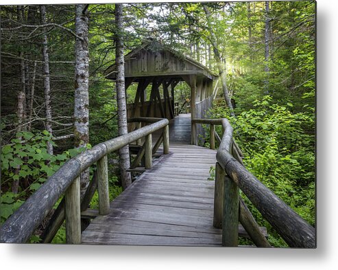 Lost Metal Print featuring the photograph Lost River Boardwalk 44 by White Mountain Images