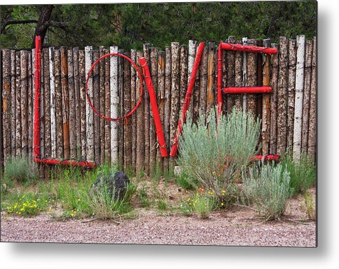 Love Metal Print featuring the photograph Love by Carmen Kern
