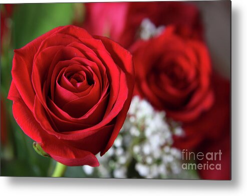 Red Roses Metal Print featuring the photograph Love is in the Air by Jayne Carney