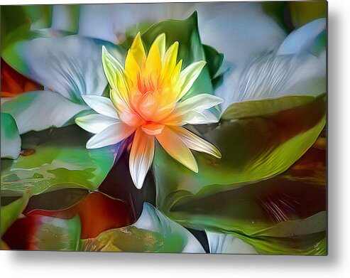 Lily Metal Print featuring the photograph Lovely Lily Art by Debra Kewley