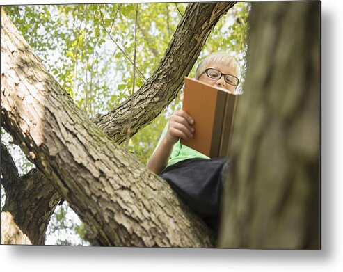 Three Quarter Length Metal Print featuring the photograph Low angle view of Caucasian boy reading in tree by JGI/Jamie Grill