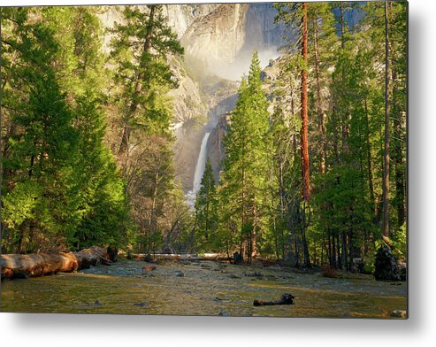 Lower Yosemite Falls Metal Print featuring the photograph Lower Yosemite Falls by Jonathan Davison