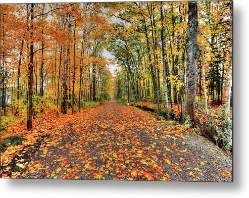 Fall Metal Print featuring the photograph Luckey Lane by Jeff Cooper