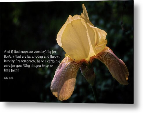 Scripture; Scripture Picture; Luke 12:28; Iris; Bloom; Blossom; Flower; Spring; Worry; Faith Metal Print featuring the photograph Luke 12 by George Taylor