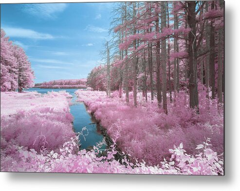 Lynde Brook Reservoir Leicester Ma Mass Massachusetts New England Water Channel Stream Ir Infrared Trees Woods Forest Outside Outdoors Nature 590nm Cottoncandy Cotton Candy Metal Print featuring the photograph Lynde Brook Reservoir 2 by Brian Hale