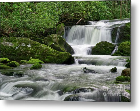 Middle Prong Trail Metal Print featuring the photograph Lynn Camp Prong 12 by Phil Perkins