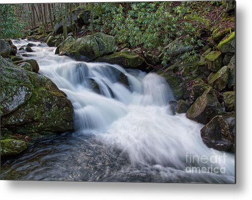 Middle Prong Trail Metal Print featuring the photograph Lynn Camp Prong 2 by Phil Perkins