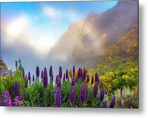 Atlantic Ocean Metal Print featuring the photograph Madeira by Evgeni Dinev